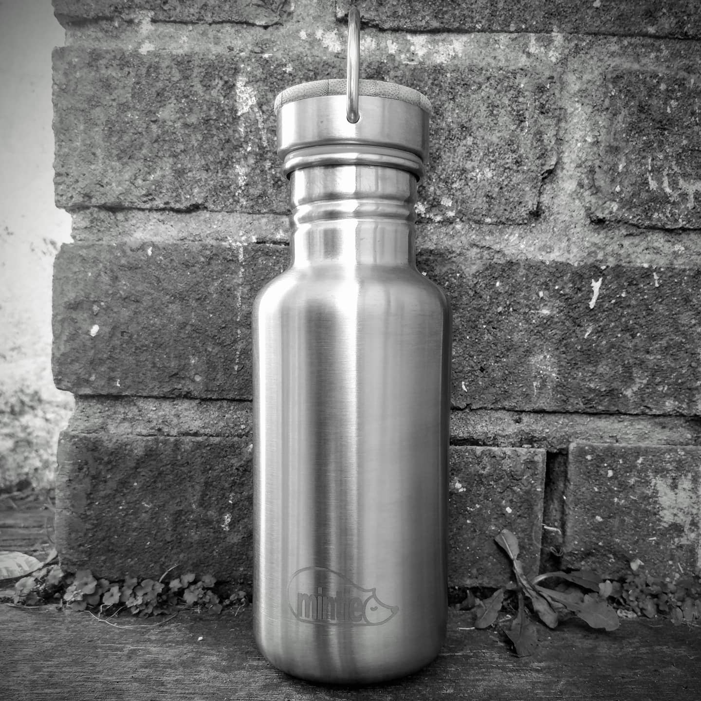 Stainless Water Bottle